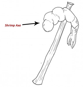 shrimp axe publish