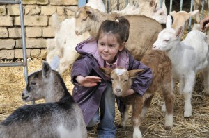 Children love goats. Why not let them take care of one for $500 a week this summer?